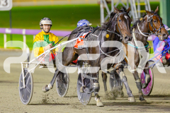 2025_PACEPIX_GP02052025_Race3_TigerRoyal_WIN_WEB-13