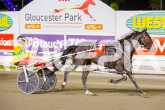 2025_PACEPIX_GP02052025_Race3_TigerRoyal_WIN_WEB-17