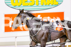 2025_PACEPIX_GP02052025_Race3_TigerRoyal_WIN_WEB-19