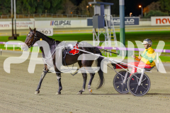 2025_PACEPIX_GP02052025_Race3_TigerRoyal_WIN_WEB-21