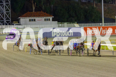 2025_PACEPIX_GP02052025_Race3_TigerRoyal_WIN_WEB-3