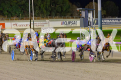 2025_PACEPIX_GP02052025_Race3_TigerRoyal_WIN_WEB-5
