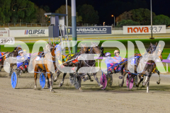 2025_PACEPIX_GP02052025_Race3_TigerRoyal_WIN_WEB-6