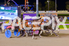 2025_PACEPIX_GP02052025_Race3_TigerRoyal_WIN_WEB-7
