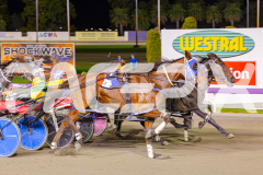 2025_PACEPIX_GP02052025_Race3_TigerRoyal_WIN_WEB-8