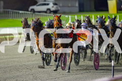 RACE 3 - Torrevean Amy
