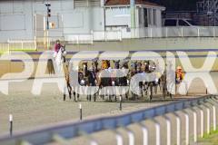 2026_PACEPIX_GP07072026_Race3_TorreveanAmy_WIN_WEB-1