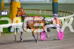 2026_PACEPIX_GP07072026_Race3_TorreveanAmy_WIN_WEB-12