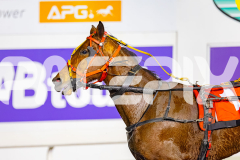 2026_PACEPIX_GP07072026_Race3_TorreveanAmy_WIN_WEB-14