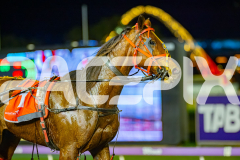 2026_PACEPIX_GP07072026_Race3_TorreveanAmy_WIN_WEB-16