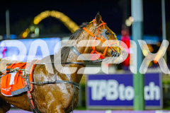 2026_PACEPIX_GP07072026_Race3_TorreveanAmy_WIN_WEB-17