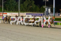Torrevean-Amy_07-07-2026_WIN_Gloucester-Park_3__01