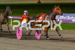 Torrevean-Amy_07-07-2026_WIN_Gloucester-Park_3__03