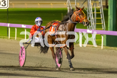 Torrevean-Amy_07-07-2026_WIN_Gloucester-Park_3__08