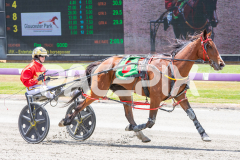 Race 3 - Torrevean Pinky