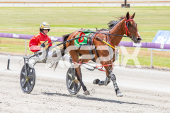 Torrevean-Pinky_05-11-2025_WIN_Gloucester-Park_3__05