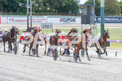 Torrevean-Pinky_05-11-2025_WIN_Gloucester-Park_3__10