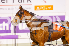 2025_PACEPIX_GP22082025_Race3_Travelban_WIN_WEB-13