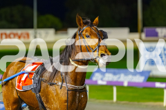 2025_PACEPIX_GP22082025_Race3_Travelban_WIN_WEB-15