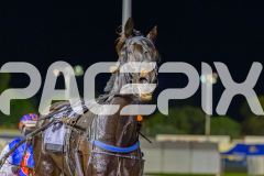 RACE 3 - True Grit