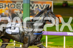 2026_PACEPIX_GP19052026_RACE3_TrueGrit_WIN_WEB-18
