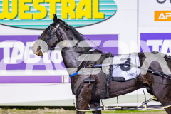 2026_PACEPIX_GP19052026_RACE3_TrueGrit_WIN_WEB-21