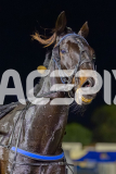 2026_PACEPIX_GP19052026_RACE3_TrueGrit_WIN_WEB-24