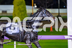 2026_PACEPIX_GP19052026_RACE3_TrueGrit_WIN_WEB-6