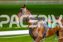 2026_PACEPIX_GP14072026_RACE3_TwobobCracker_WIN_WEB-16