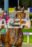 2026_PACEPIX_GP14072026_RACE3_TwobobCracker_WIN_WEB-20
