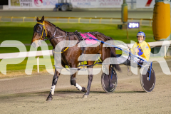 2025_PACEPIX_GP01082025_RACE3_Vanderbuilt_WIN_WEB-19