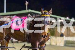 2025_PACEPIX_GP01082025_RACE3_Vanderbuilt_WIN_WEB-23