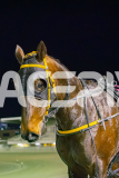 2025_PACEPIX_GP01082025_RACE3_Vanderbuilt_WIN_WEB-24
