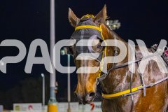 2025_PACEPIX_GP01082025_RACE3_Vanderbuilt_WIN_WEB-25