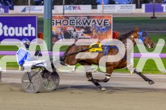 RACE 3 - Vinnies Star