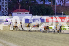 2026_PACEPIX_GP07042026_RACE3_VinniesStar_WIN_WEB-1