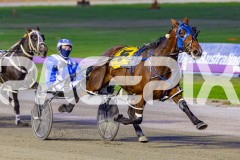 2026_PACEPIX_GP07042026_RACE3_VinniesStar_WIN_WEB-3
