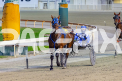 2026_PACEPIX_GP07042026_RACE3_VinniesStar_WIN_WEB-7