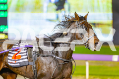 2025_PACEPIX_GP29042025_Race3_Vybrant_WIN_WEB-10