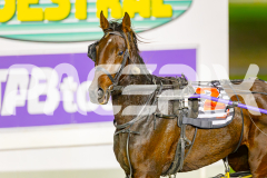 2025_PACEPIX_GP29042025_Race3_Vybrant_WIN_WEB-12