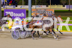 2025_PACEPIX_GP29042025_Race3_Vybrant_WIN_WEB-6