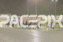 Gloucester Park - 19/08/2025