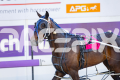 2025_PACEPIX_GP11112025_RACE3_WaveRebellion_WIN_WEB-13