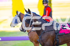 2025_PACEPIX_GP11112025_RACE3_WaveRebellion_WIN_WEB-14
