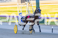 2025_PACEPIX_GP11112025_RACE3_WaveRebellion_WIN_WEB-3
