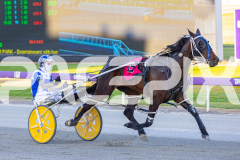 2025_PACEPIX_GP11112025_RACE3_WaveRebellion_WIN_WEB-6