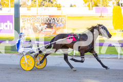 2025_PACEPIX_GP11112025_RACE3_WaveRebellion_WIN_WEB-7