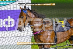 2026_PACEPIX_GP16102026_Race3_WeWalkByFaith_WIN_WEB-18