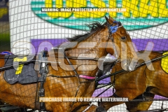 2026_PACEPIX_GP16102026_Race3_WeWalkByFaith_WIN_WEB-5