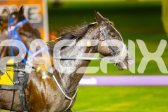 2025_PACEPIX_GP04072025_Race3_Whataretheodds_WIN_WEB-11